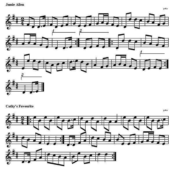 Uploaded Image: Chris's Irish Polka Set-a.gif